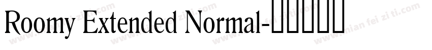 Roomy Extended Normal字体转换